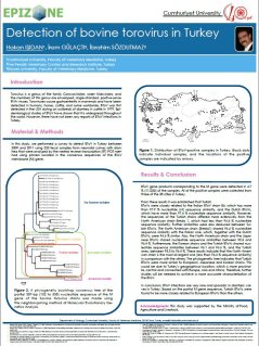 Epidemiology, risk analysis and surveillance-3.jpg