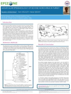 Epidemiology, risk analysis and surveillance-5.jpg