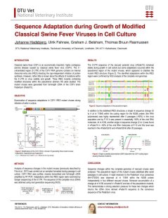 Antivirals, vaccines and virus host interactions-2.jpg